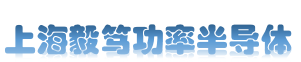 上海毅笃功率半导体科技
